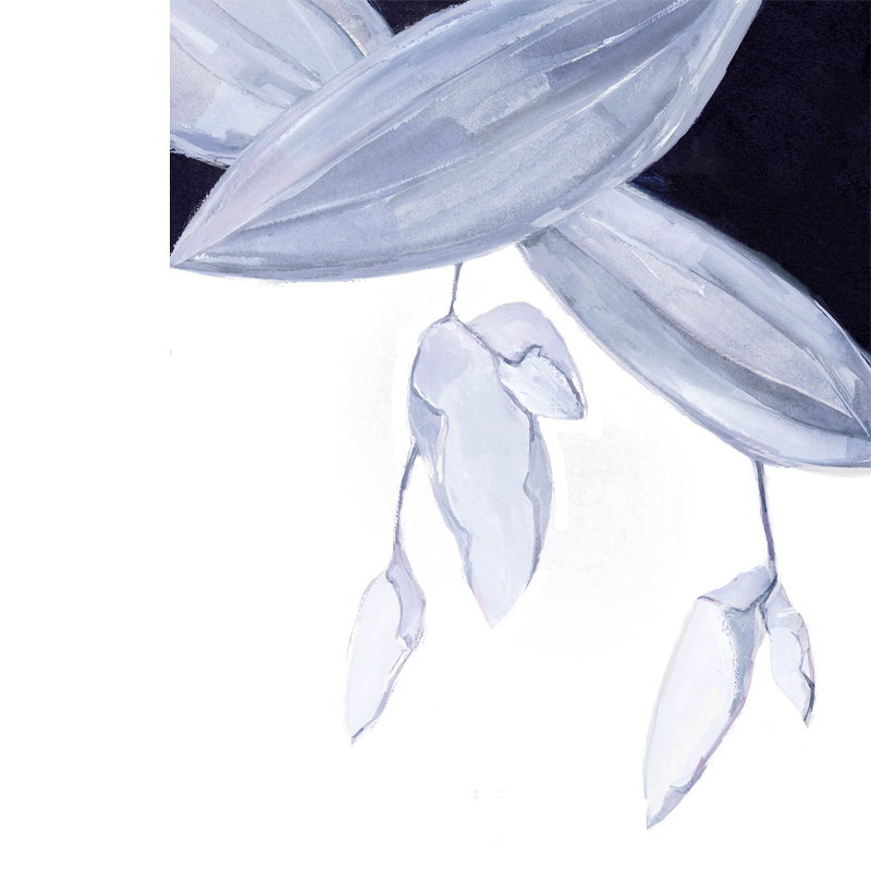 ying-bg1
